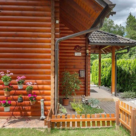 Apartma Metka Medvode Bagian luar foto