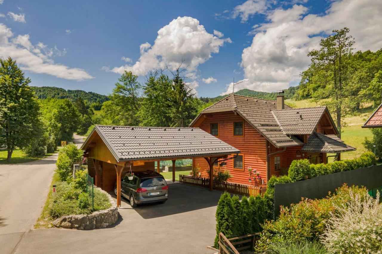 Apartma Metka Medvode Bagian luar foto