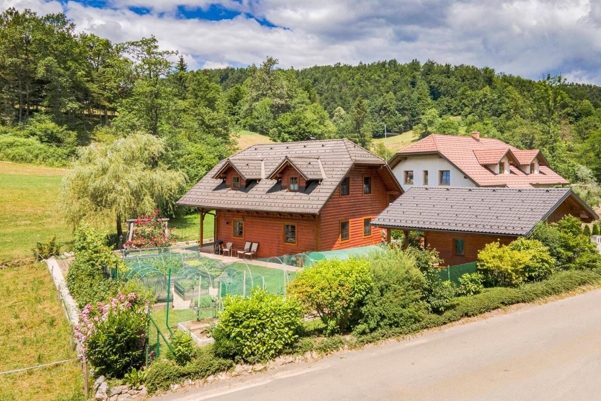 Apartma Metka Medvode Bagian luar foto