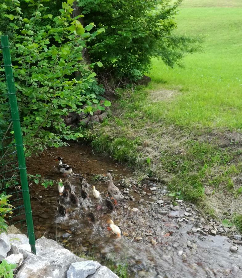 Apartma Metka Medvode Bagian luar foto