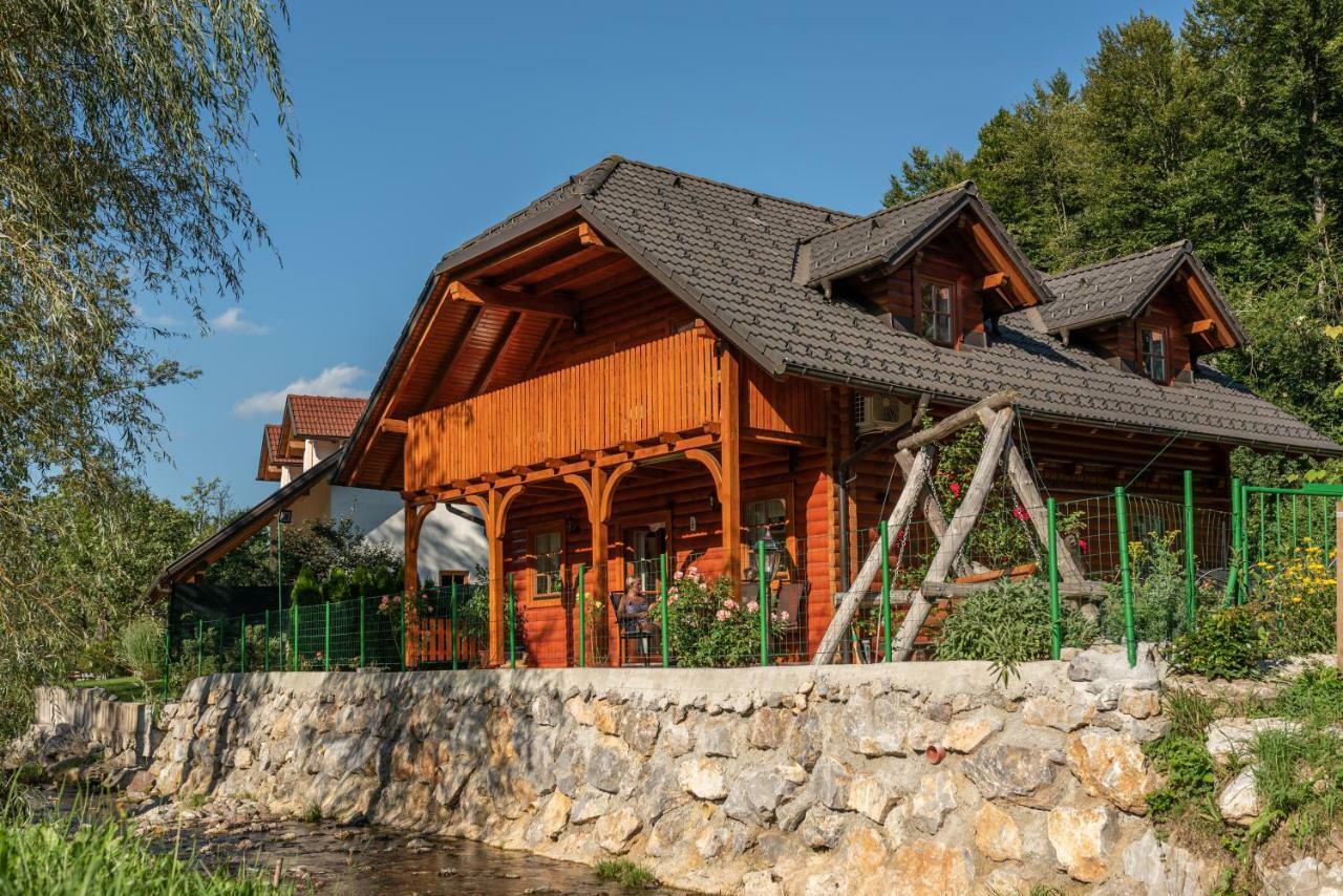 Apartma Metka Medvode Bagian luar foto